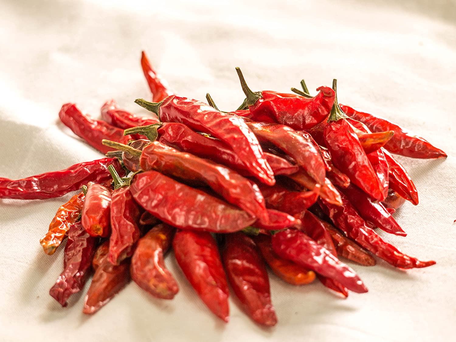 Red Chillies
